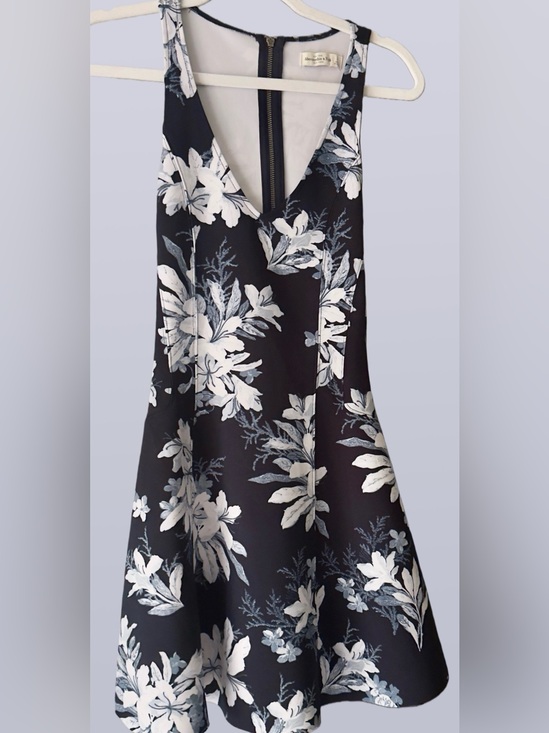 Abercrombie & Fitch Dresses & Skirts - Abercrombie & Fitch fit and flare dress